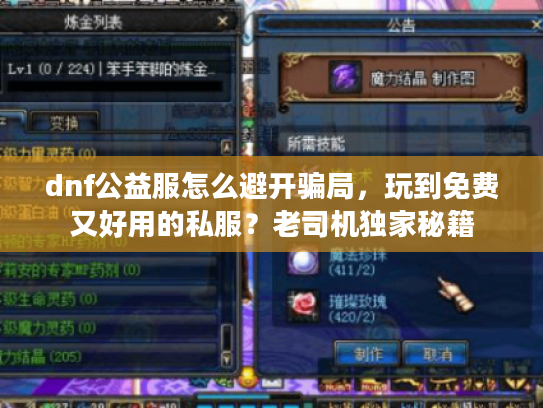 dnf公益服怎么避开骗局，玩到免费又好用的私服？老司机独家秘籍
