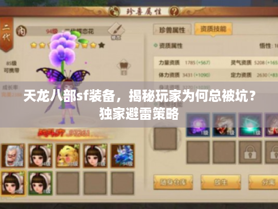 天龙八部sf装备，揭秘玩家为何总被坑？独家避雷策略