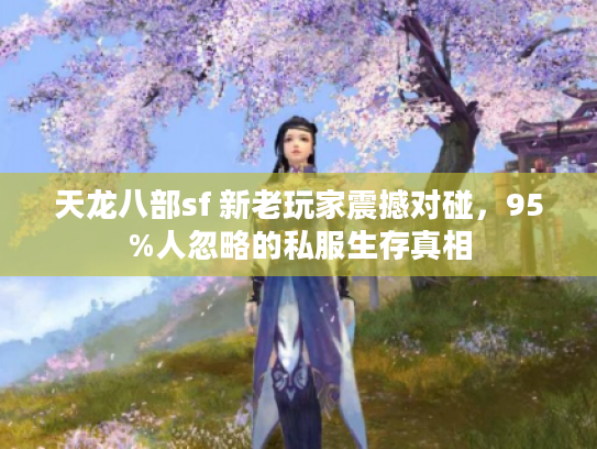 天龙八部sf 新老玩家震撼对碰，95%人忽略的私服生存真相