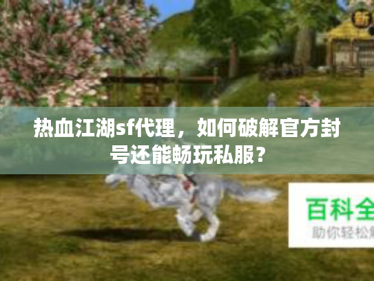 热血江湖sf代理，如何破解官方封号还能畅玩私服？