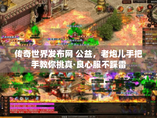 传奇世界发布网 公益，老炮儿手把手教你挑真·良心服不踩雷