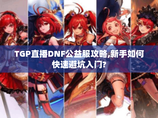 TGP直播DNF公益服攻略,新手如何快速避坑入门?