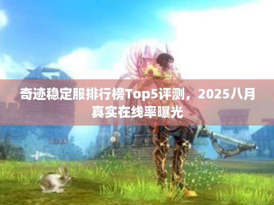 奇迹稳定服排行榜Top5评测，2025八月真实在线率曝光