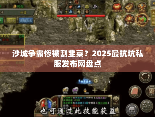 沙城争霸惨被割韭菜？2025最抗坑私服发布网盘点
