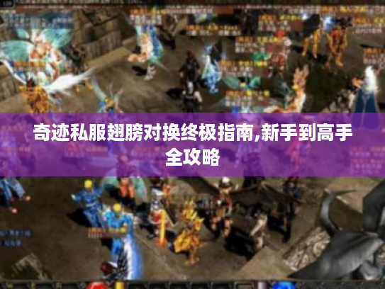 奇迹私服翅膀对换终极指南,新手到高手全攻略