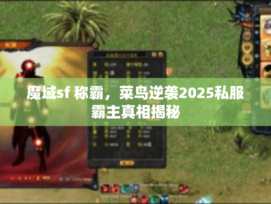 魔域sf 称霸，菜鸟逆袭2025私服霸主真相揭秘