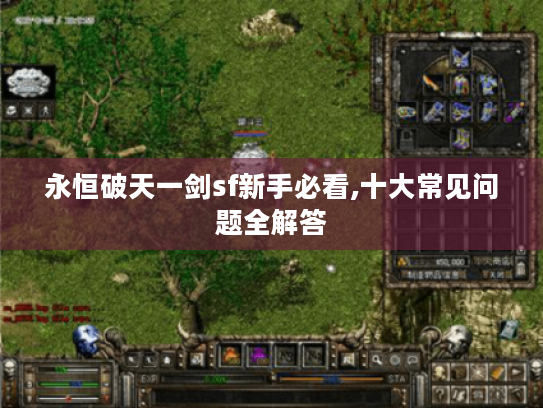 永恒破天一剑sf新手必看,十大常见问题全解答