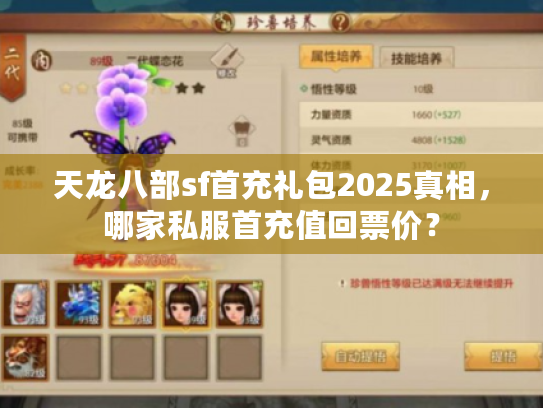 天龙八部sf首充礼包2025真相，哪家私服首充值回票价？