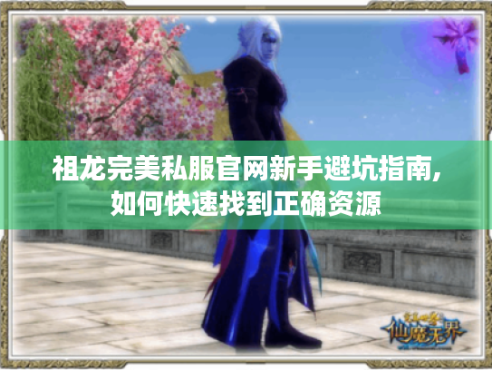 祖龙完美私服官网新手避坑指南,如何快速找到正确资源