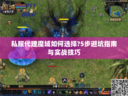 私服代理魔域如何选择?5步避坑指南与实战技巧