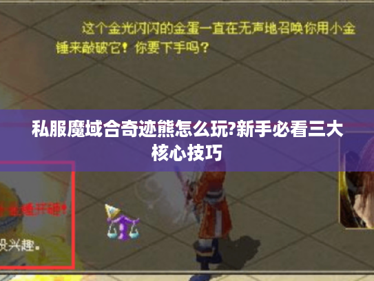 私服魔域合奇迹熊怎么玩?新手必看三大核心技巧