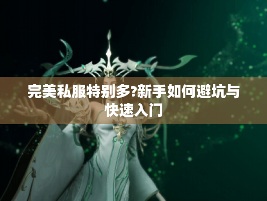 完美私服特别多?新手如何避坑与快速入门