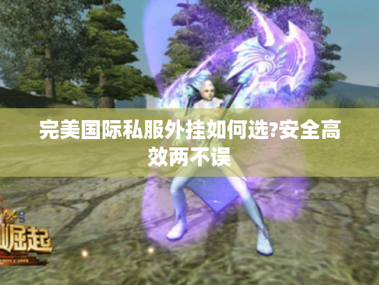 完美国际私服外挂如何选?安全高效两不误