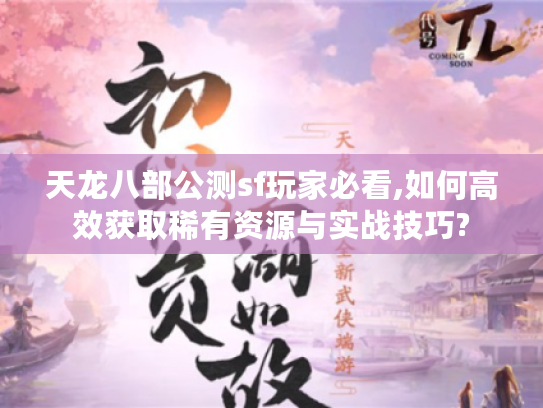 天龙八部公测sf玩家必看,如何高效获取稀有资源与实战技巧?