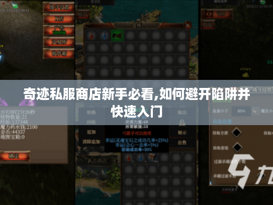 奇迹私服商店新手必看,如何避开陷阱并快速入门