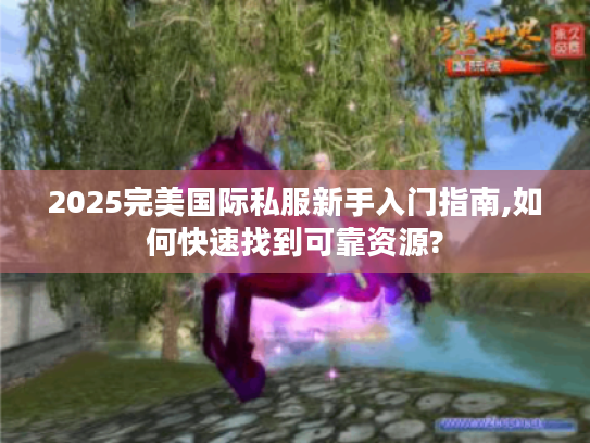 2025完美国际私服新手入门指南,如何快速找到可靠资源?