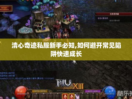 清心奇迹私服新手必知,如何避开常见陷阱快速成长