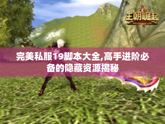 完美私服19脚本大全,高手进阶必备的隐藏资源揭秘