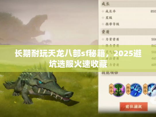 长期耐玩天龙八部sf秘籍，2025避坑选服火速收藏