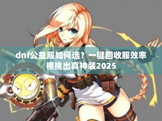 dnf公益服如何选？一键回收服效率榜挑出真神装2025