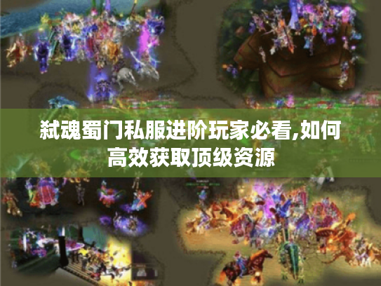 弑魂蜀门私服进阶玩家必看,如何高效获取顶级资源