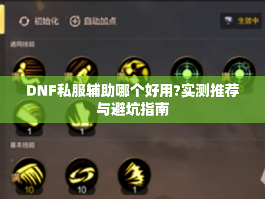 DNF私服辅助哪个好用?实测推荐与避坑指南