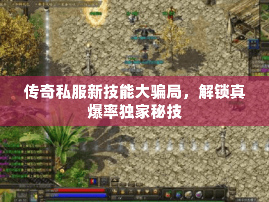 传奇私服新技能大骗局，解锁真爆率独家秘技