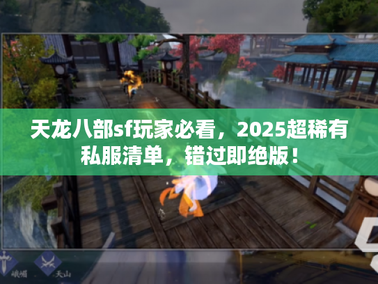 天龙八部sf玩家必看，2025超稀有私服清单，错过即绝版！