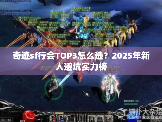 奇迹sf行会TOP3怎么选？2025年新人避坑实力榜