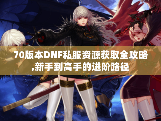 70版本DNF私服资源获取全攻略,新手到高手的进阶路径 70版本DNF私服资源获取全攻略,新手到高手的进阶路径