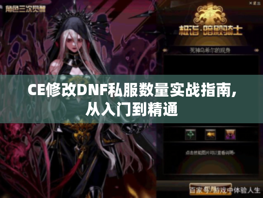 CE修改DNF私服数量实战指南,从入门到精通