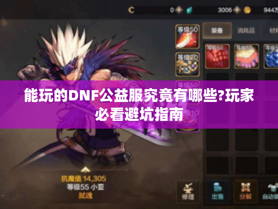 能玩的DNF公益服究竟有哪些?玩家必看避坑指南