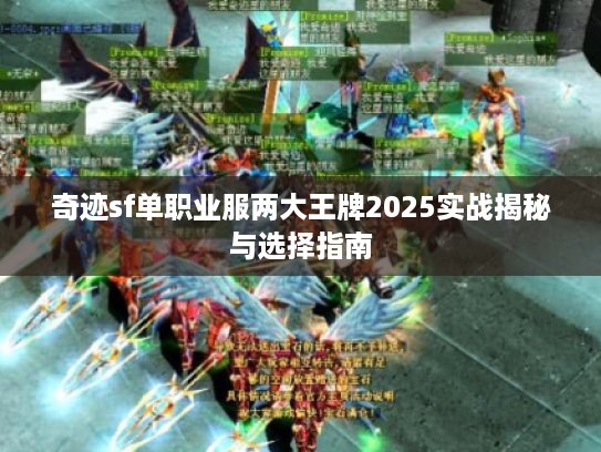 奇迹sf单职业服两大王牌2025实战揭秘与选择指南 奇迹sf单职业服两大王牌2025实战揭秘与选择指南