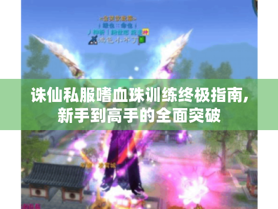 诛仙私服嗜血珠训练终极指南,新手到高手的全面突破