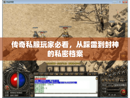 传奇私服玩家必看，从踩雷到封神的私密档案