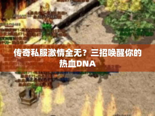 传奇私服激情全无?三招唤醒你的热血DNA 传奇私服激情全无?三招唤醒你的热血DNA