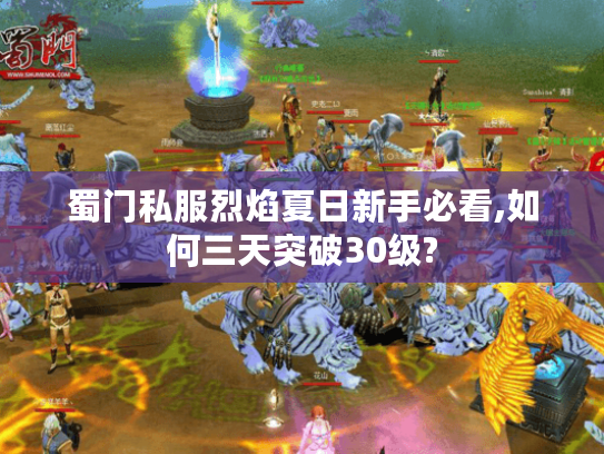 蜀门私服烈焰夏日新手必看,如何三天突破30级?