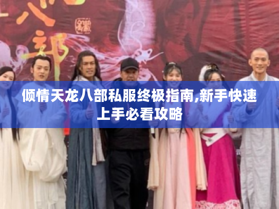 倾情天龙八部私服终极指南,新手快速上手必看攻略