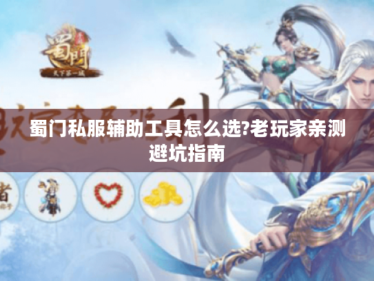 蜀门私服辅助工具怎么选?老玩家亲测避坑指南