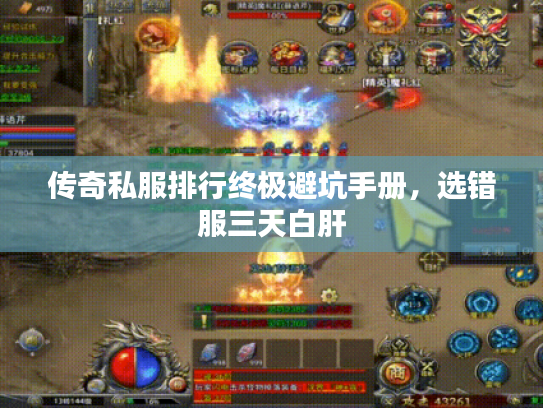 传奇私服排行终极避坑手册，选错服三天白肝