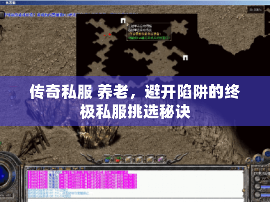 传奇私服 养老，避开陷阱的终极私服挑选秘诀