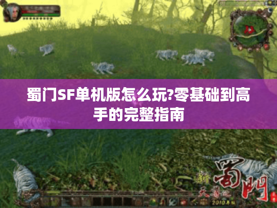 蜀门SF单机版怎么玩?零基础到高手的完整指南