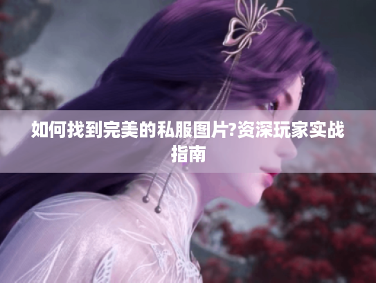 如何找到完美的私服图片?资深玩家实战指南
