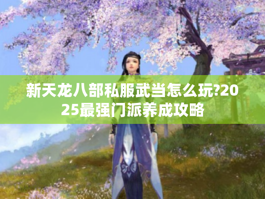 新天龙八部私服武当怎么玩?2025最强门派养成攻略