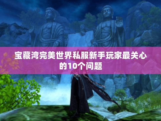 宝藏湾完美世界私服新手玩家最关心的10个问题