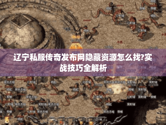 辽宁私服传奇发布网隐藏资源怎么找?实战技巧全解析 辽宁私服传奇发布网隐藏资源怎么找?实战技巧全解析