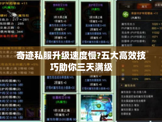 奇迹私服升级速度慢?五大高效技巧助你三天满级