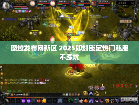 魔域发布网新区 2025即刻锁定热门私服不踩坑