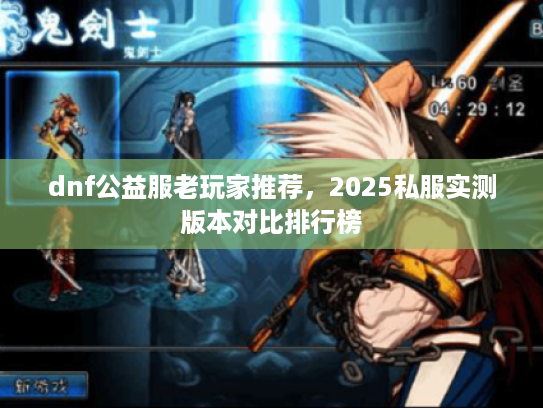 dnf公益服老玩家推荐，2025私服实测版本对比排行榜