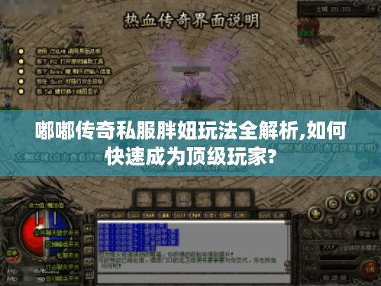 嘟嘟传奇私服胖妞玩法全解析,如何快速成为顶级玩家?